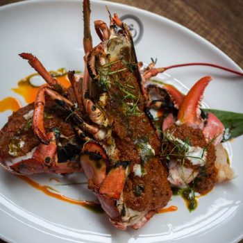 lobster