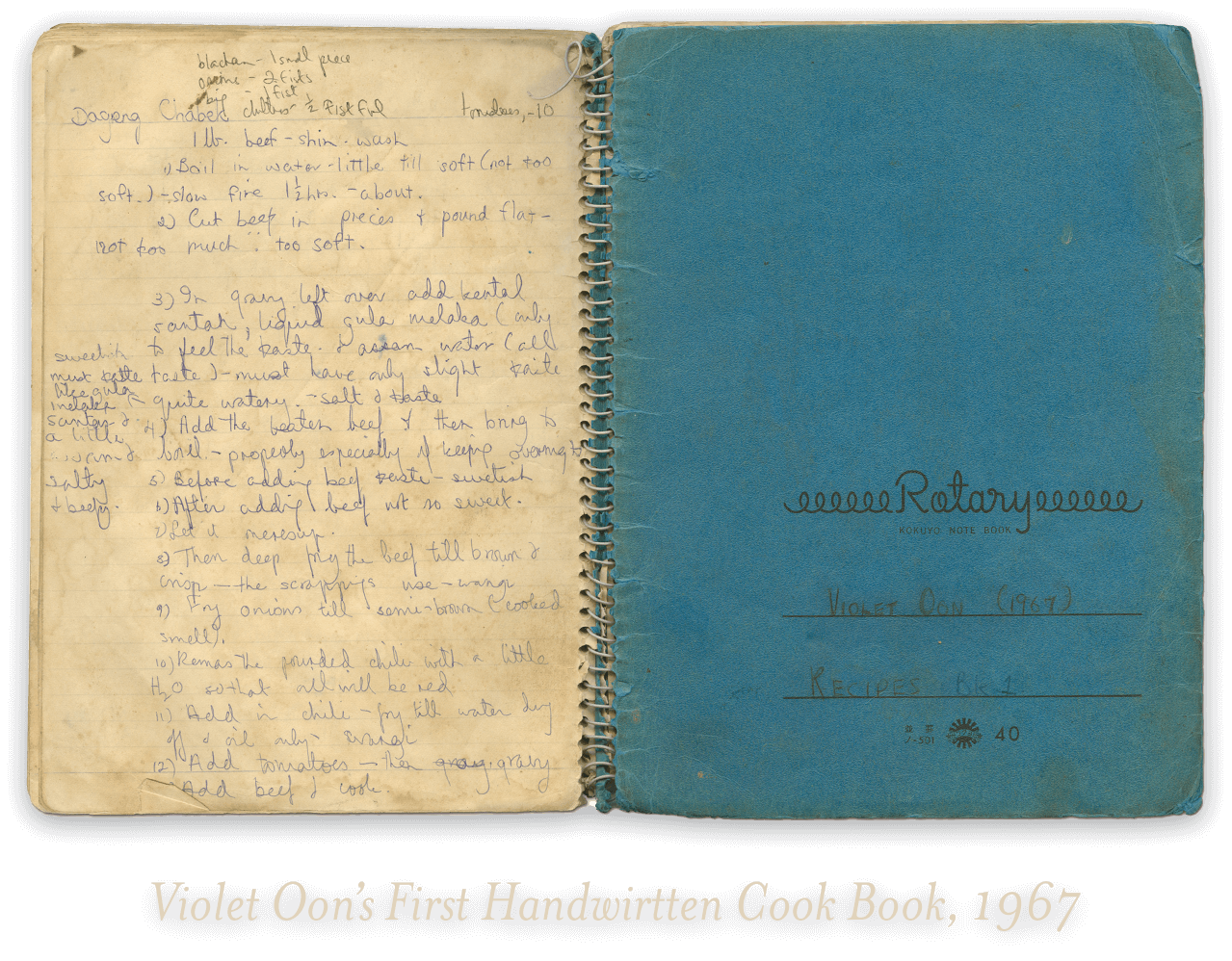 violet-oons-handwritten-cook-book violet-oons-handwritten-cook-book