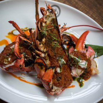 lobster
