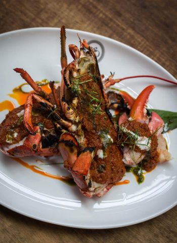 lobster