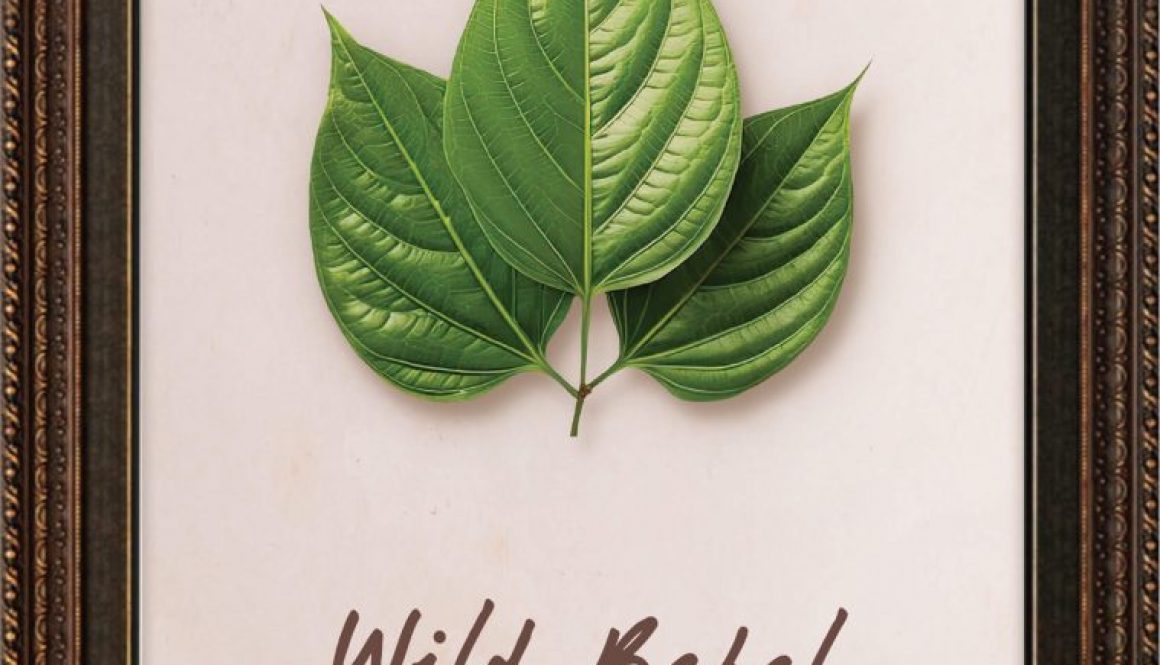 plants-betel