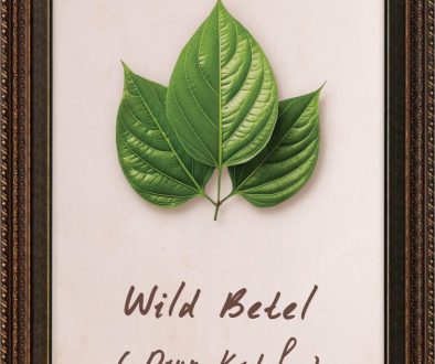 plants-betel