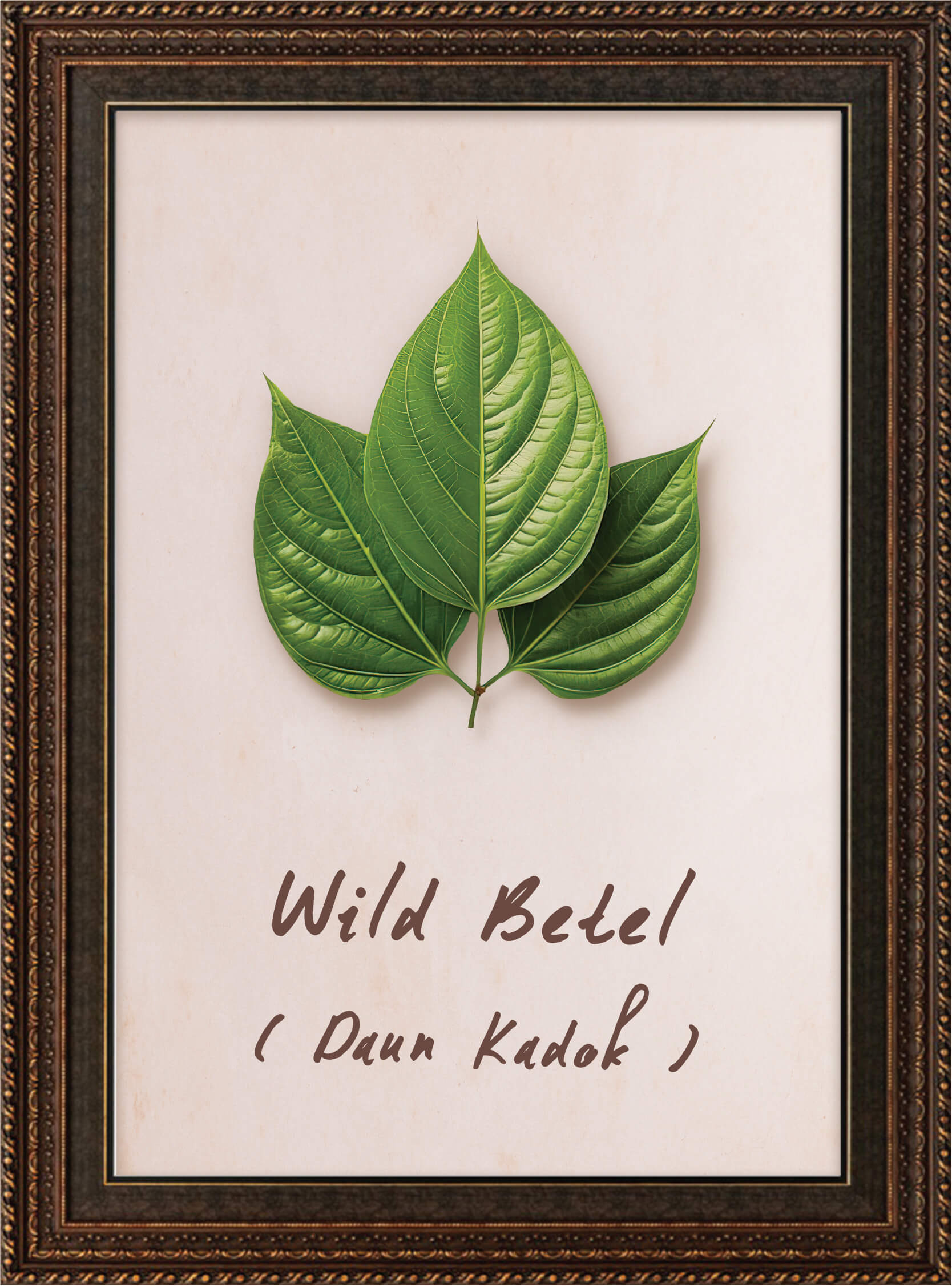 plants-betel