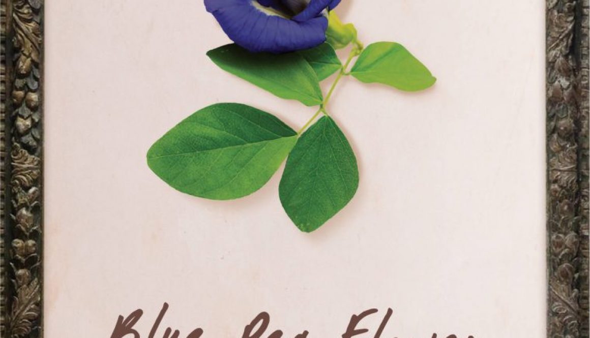 plants-butterfly-blue-pea