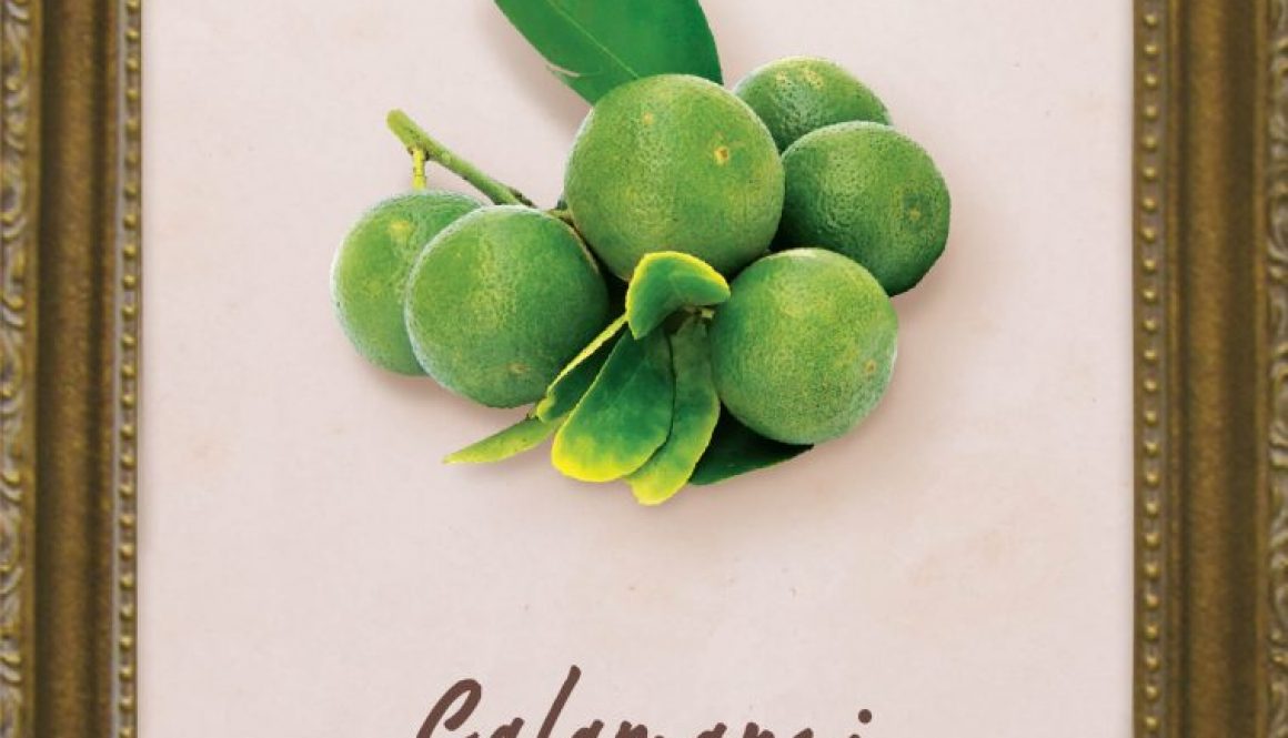 plants-calamansi-lime