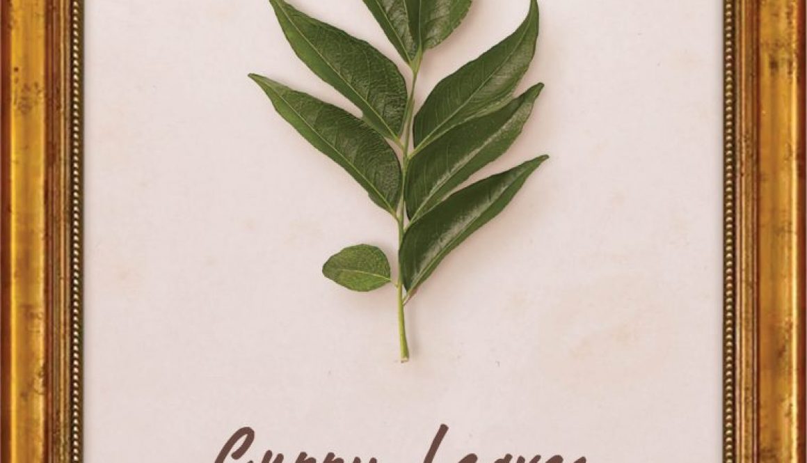 plants-curry-leaf