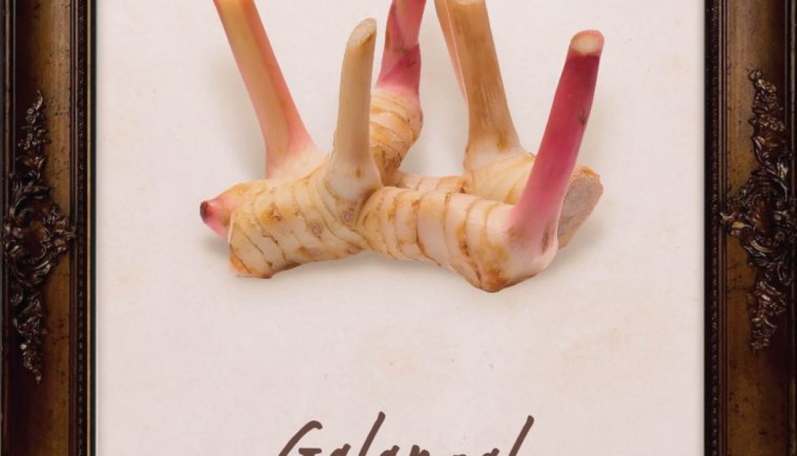 plants-galangal