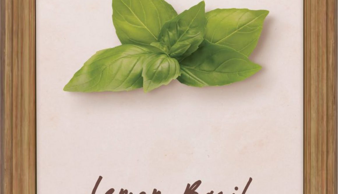 plants-lemon-basil