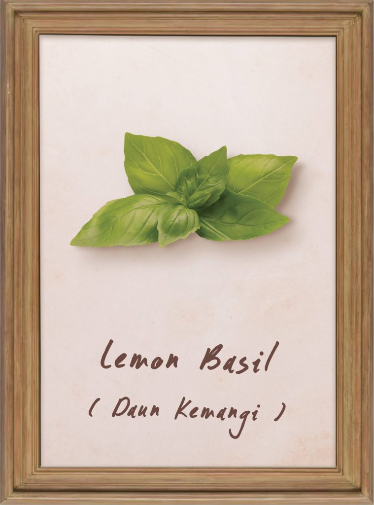 Lemon Basil