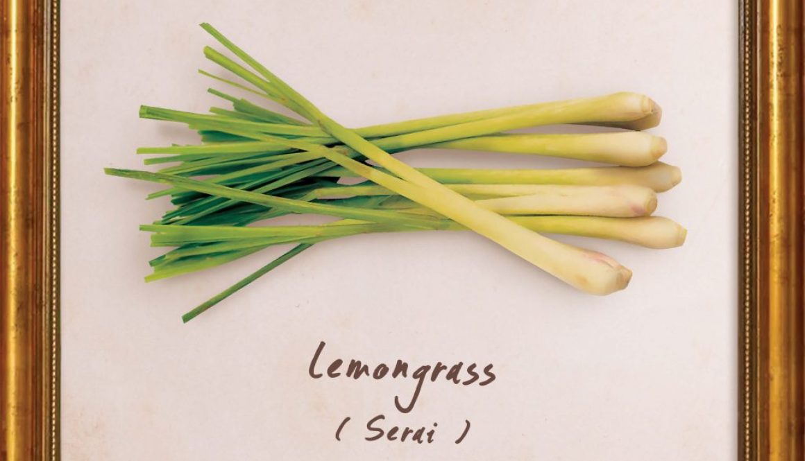 plants-lemongrass