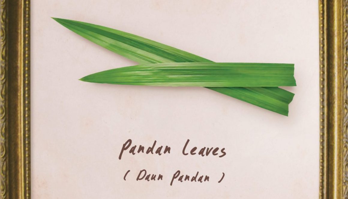 plants-pandan