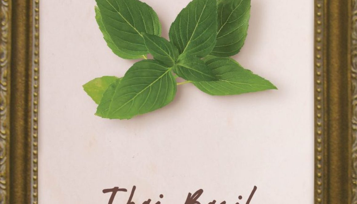 plants-thai-basil