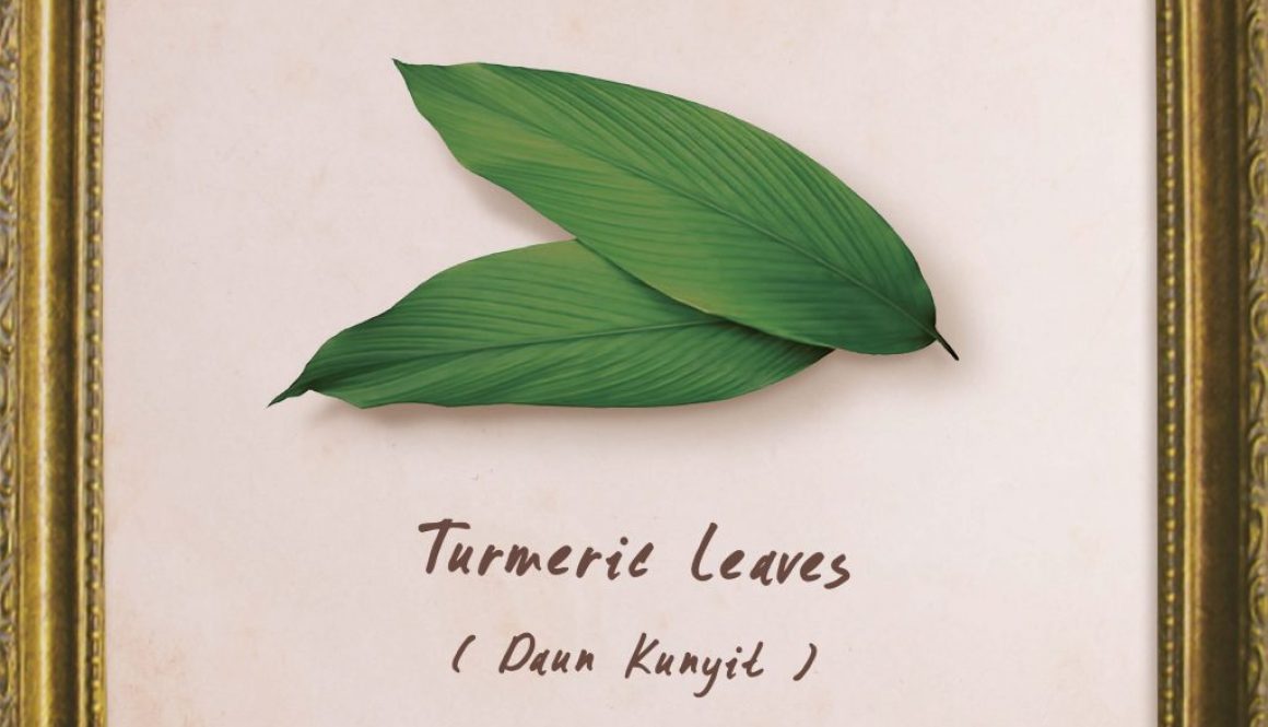 plants-turmeric