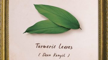 plants-turmeric
