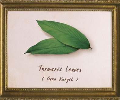 plants-turmeric