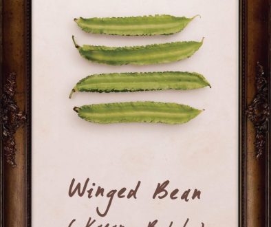 plants-winged-bean